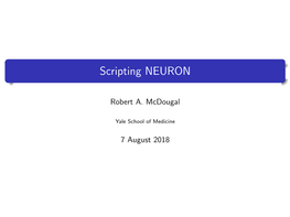 Scripting NEURON