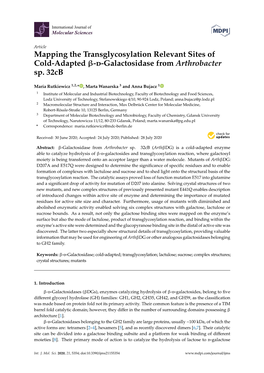 Mapping the Transglycosylation Relevant Sites of Cold-Adapted -D