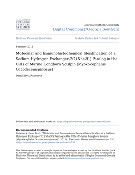 Molecular and Immunohistochemical Identification of a Sodium Hydrogen