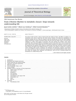 From L'homme Machine to Metabolic Closure Steps Towards