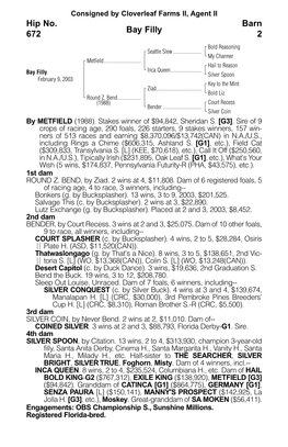 Bay Filly Barn 2 Hip No