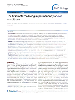 The First Metazoa Living in Permanently Anoxic Conditions