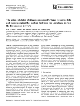 The Unique Skeleton of Siliceous Sponges (Porifera; Hexactinellida and Demospongiae) That Evolved ﬁrst from the Urmetazoa During the Proterozoic: a Review