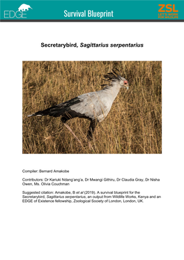 Secretarybird, Sagittarius Serpentarius