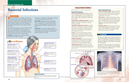 Bacterial Infections