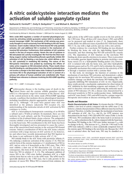 A Nitric Oxide/Cysteine Interaction Mediates the Activation of Soluble Guanylate Cyclase