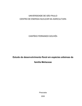 Estudo Do Desenvolvimento Floral Em Espécies Arbóreas Da Família Meliaceae / Cantídio Fernando Gouvêa; Orientadora Adriana Pinheiro Martinelli Rodriguez