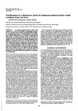 Synthase from Rat Liver