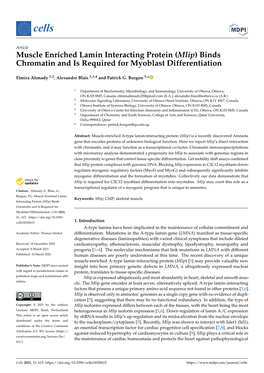 Muscle Enriched Lamin Interacting Protein (Mlip) Binds Chromatin and Is Required for Myoblast Differentiation