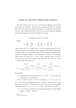 NOTES on the WEYL CHARACTER FORMULA the Aim of These Notes