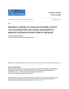 BIOLOGICAL CONTROL of the BLACK CUTWORM, <Em>AGROTIS IPSILON</Em> (LEPIDOPTERA: NOCTUIDAE), and ENDOPHYTE MEDIATED T