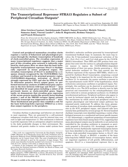 The Transcriptional Repressor STRA13 Regulates a Subset of Peripheral Circadian Outputs*