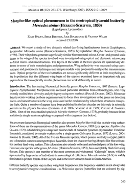 Vlorpho-Like Optical Phenomenon in the Neotropical Lycaenid Butterfly