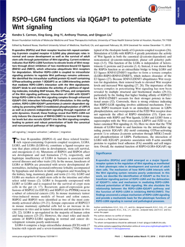 RSPO–LGR4 Functions Via IQGAP1 to Potentiate Wnt Signaling