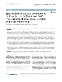 Synchronism of Naupliar Development of Sacculina Carcini Thompson