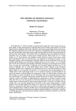 Life History of Phidippus Johnsoni (Araneae, Salticidae )