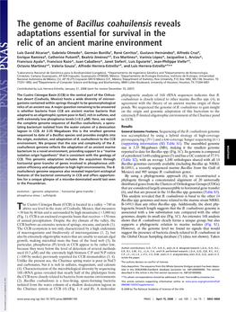 The Genome of Bacillus Coahuilensis Reveals Adaptations Essential for Survival in the Relic of an Ancient Marine Environment