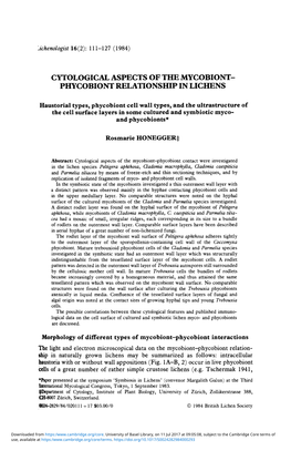 'Cytological Aspects of the Mycobiont–Phycobiont Relationship in Lichens'