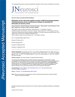 Regulation of the Natriuretic Peptide Receptor 2 (Npr2) by Phosphorylation of Juxtamembrane Serine and Threonine Residues Is