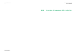 E1.1 Overview of Assessment of Traveller Sites