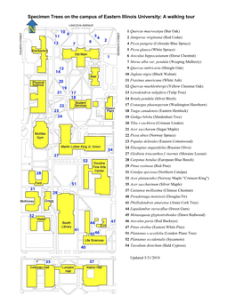 Specimen Trees on the Campus of Eastern Illinois University: a Walking Tour