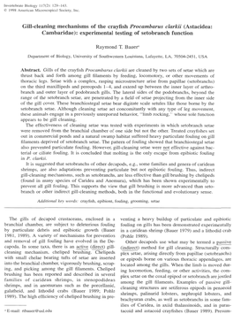 Astacidea: Cambaridae): Experimental Testing of Setobranch Function