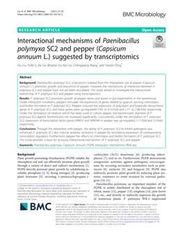 Paenibacillus Polymyxa