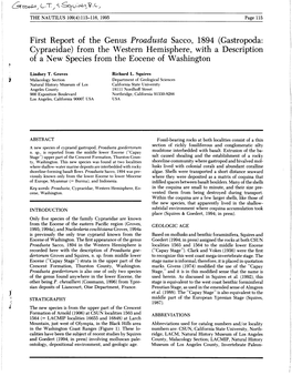 (Gastropoda: Cypraeidae) from the Western Hemisphere, with a Description of a New Species from the Eocene of Washington