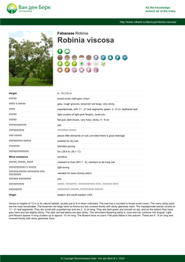 Robinia Viscosa