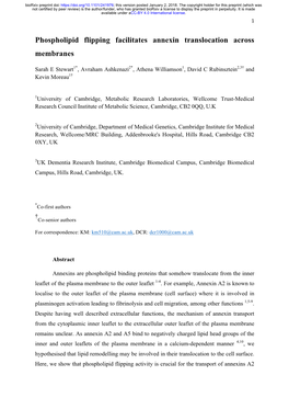 Phospholipid Flipping Facilitates Annexin Translocation Across Membranes
