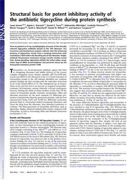 Structural Basis for Potent Inhibitory Activity of the Antibiotic Tigecycline During Protein Synthesis