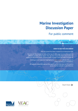 Marine Investigation Discussion Paper for Public Comment