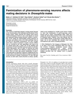 Feminization of Pheromone-Sensing Neurons Affects Mating Decisions in Drosophila Males