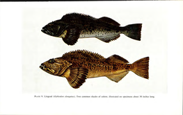 Fishes of the Pacific Coast of Canada