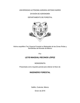 Leydi Magdali Recinos López Ingeniero Forestal