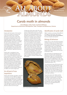 Download the Carob Moth in Almonds Fact Sheet