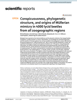 Conspicuousness, Phylogenetic Structure, and Origins of Müllerian