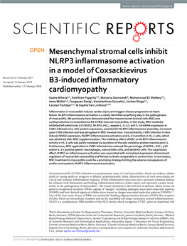 Mesenchymal Stromal Cells Inhibit NLRP3 Inflammasome Activation In