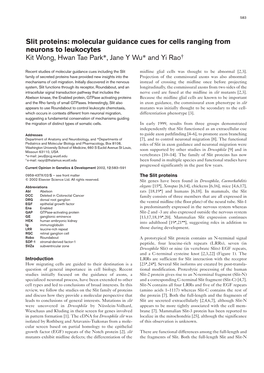 Slit Proteins: Molecular Guidance Cues for Cells Ranging from Neurons to Leukocytes Kit Wong, Hwan Tae Park*, Jane Y Wu* and Yi Rao†