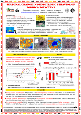 Seasonal Change in Phototropic Behavior Of