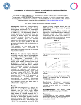 Succession of Microbial Consortia Associated with Traditional Tejuino Fermentations