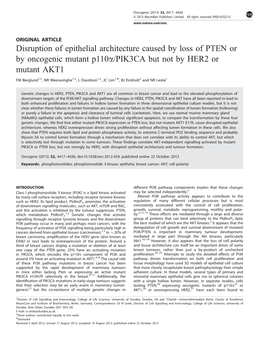 Disruption of Epithelial Architecture Caused by Loss of PTEN Or by Oncogenic Mutant P110a/PIK3CA but Not by HER2 Or Mutant AKT1