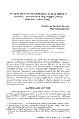 Foraging Behavior and Microhabitats Used by Black Lion Tamarins, Leontopithecus Chrysopyqus (Mikan) (Primates, Callitrichidae)