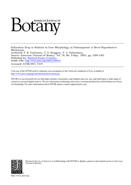 Pollination Drop in Relation to Cone Morphology in Podocarpaceae: a Novel Reproductive Mechanism Author(S): P