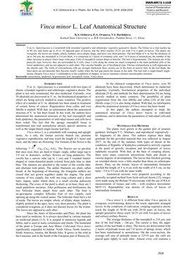 Vinca Minor L. Leaf Anatomical Structure