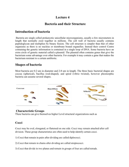 Lecture 4 Bacteria and Their Structure Introduction of Bacteria Shapes Of