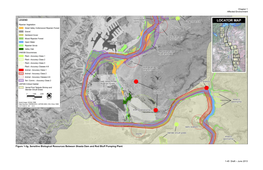 Botanical Resources and Wetlands Technical Report