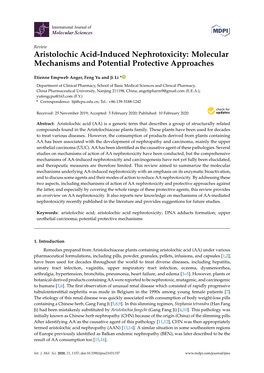 Aristolochic Acid-Induced Nephrotoxicity: Molecular Mechanisms and Potential Protective Approaches