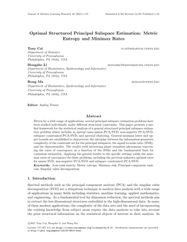 Metric Entropy and Minimax Rates