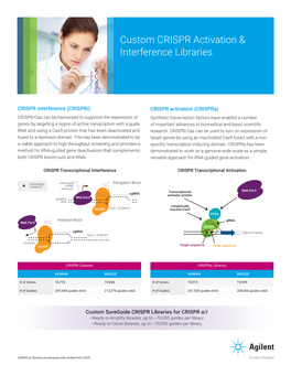 Custom CRISPR Activation & Interference Libraries